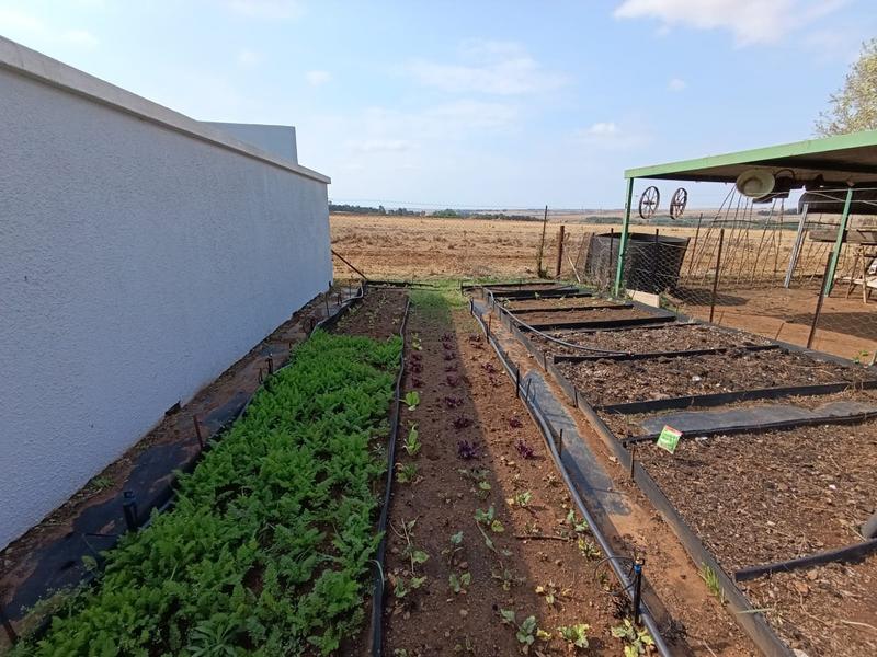 4 Bedroom Property for Sale in Middelburg Eastern Cape